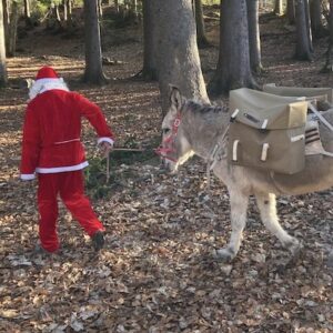 Lire la suite à propos de l’article Le Père Noël n’a pas de traineau, il bosse avec un bât Randoline
