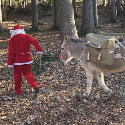 Le Père Noël n'a pas de traineau, il bosse avec un bât Randoline