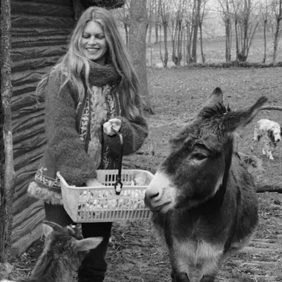 Brigitte Bardot et les ânes