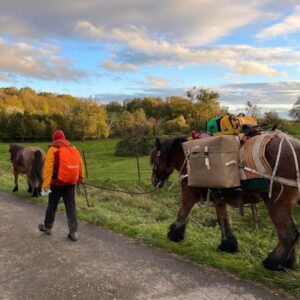 Lire la suite à propos de l’article Le Balaska dans les Ardennes