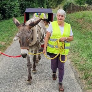 Lire la suite à propos de l’article L’Escargoline du Comminges