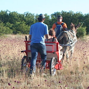 Lire la suite à propos de l’article La naissance de l’Escargoline