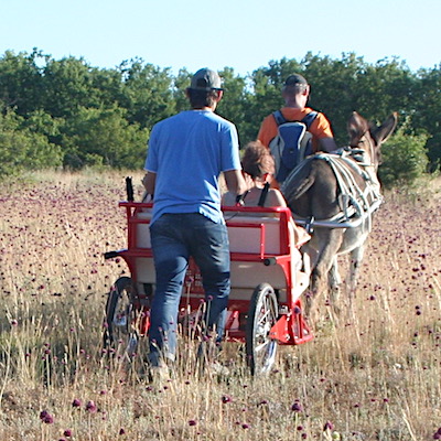 La naissance de l'Escargoline