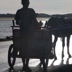 Lire la suite à propos de l’article Le petit miracle du Gois