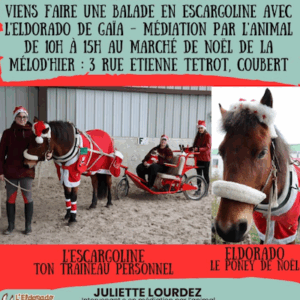 Lire la suite à propos de l’article L’Escargoline de Juliette joue les Père Noël