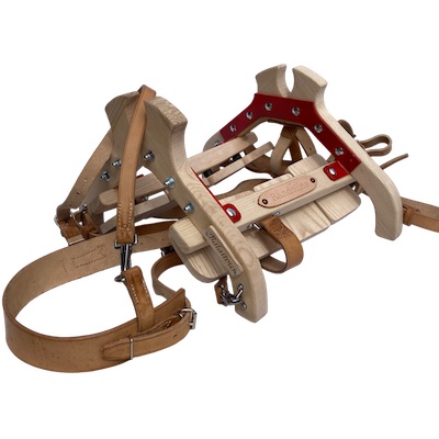 Balaitous-famille-de-bats