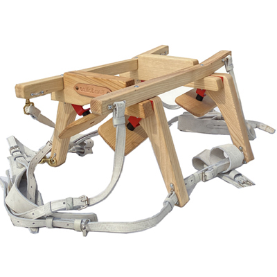 Balissandre-Famille-de-bâts