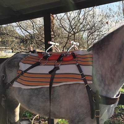 Le tapis de bât Couveton est même adopté par les bâts américains...