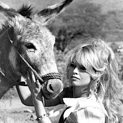 Brigitte Bardot et les ânes (2)