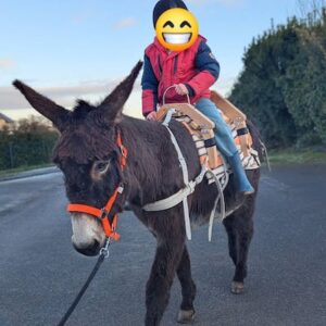 Lire la suite à propos de l’article Le Bastillon, toujours au top…