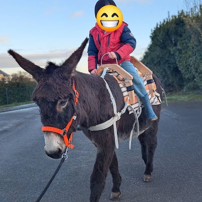 Le Bastillon, toujours au top...