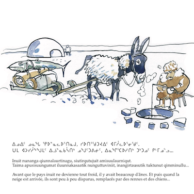 Les ânes au Groenland