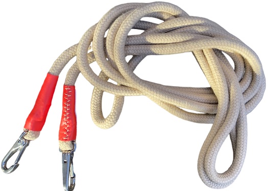 LongerinePresentation