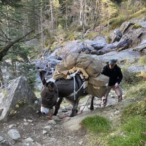 Lire la suite à propos de l’article Le Bastillon