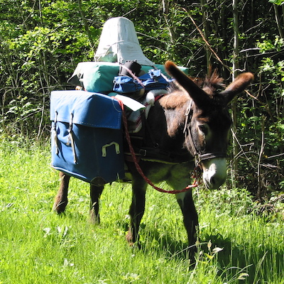 Séquence Souvenir, Saison 1, épisode 2