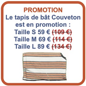 PavéCouvetonPromo PavéCouvetonPromo