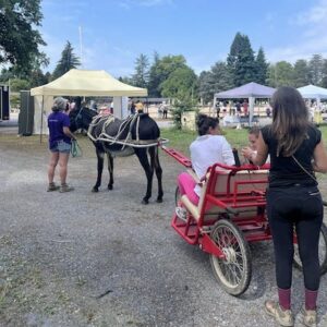 Lire la suite à propos de l’article L’Atelier de la Cavale