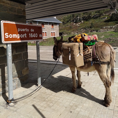 En route vers Compostelle par la voie d'Arles et le col du Somport