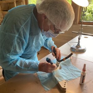Lire la suite à propos de l’article Opération d’un arceau dans le service de bastochirurgie du professeur Asinus