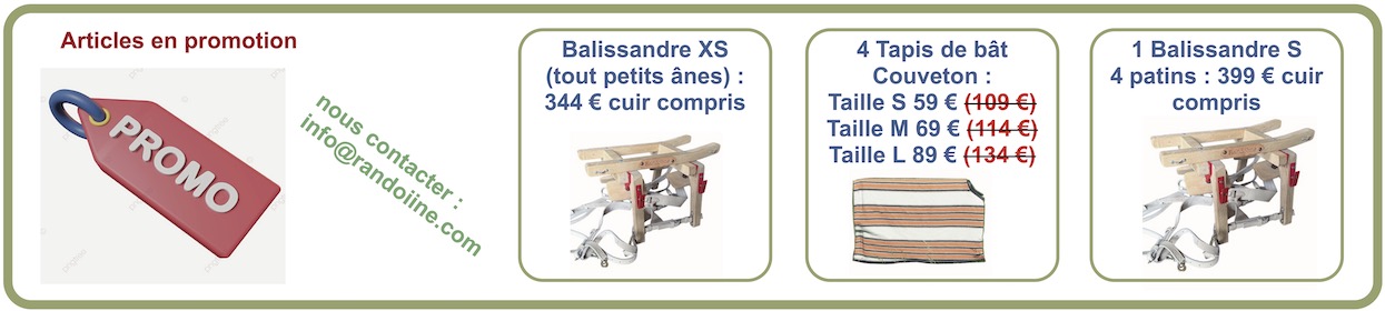 BandeauPromotion
