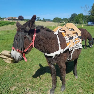 Un Bastillon en ordre de marche