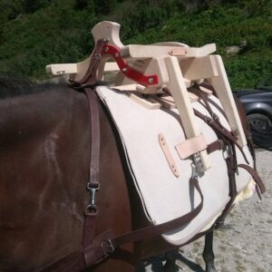 Lire la suite à propos de l’article Un gros Bassador, bien calé sur un cheval, va partir à l’assaut de la montagne