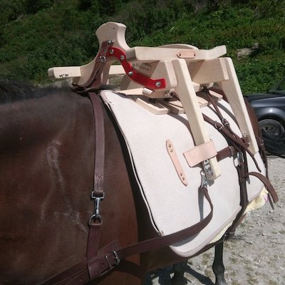 Un gros Bassador, bien calé sur un cheval, va partir à l'assaut de la montagne