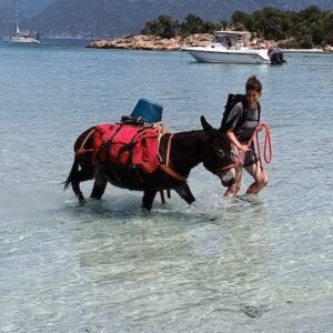 Lire la suite à propos de l’article Le Bastillon aquatique