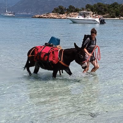Le Bastillon aquatique