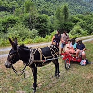 Lire la suite à propos de l’article L’Escargoline à l’assaut des Pyrénées