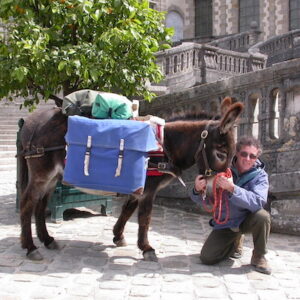 Lire la suite à propos de l’article Château de Fontainebleau, mai 2004