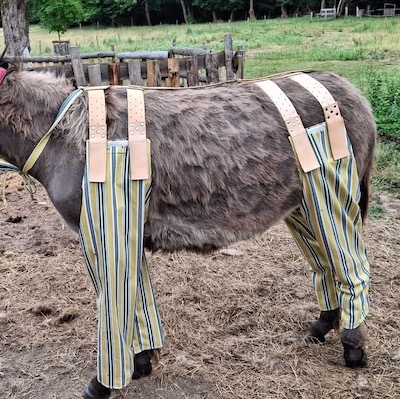 Choupy et son dress-code