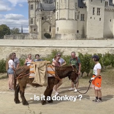 Flaneur et Lisa nettoient Saumur