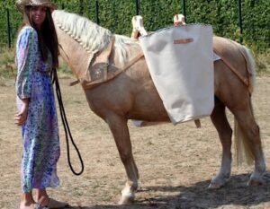 Lire la suite à propos de l’article Les Panillettes sur un joli poney Fjord de l’association Lola