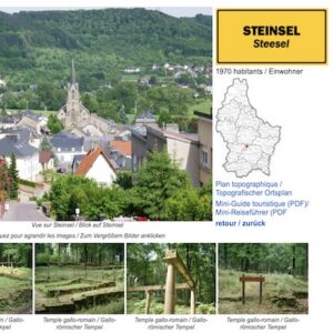 Lire la suite à propos de l’article Fête des ânes de Steinsel au Luxembourg