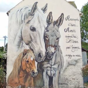 Lire la suite à propos de l’article Le Street Art et les ânes