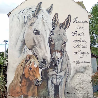 Lire la suite à propos de l’article Le Street Art et les ânes