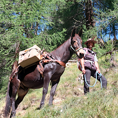 Lire la suite à propos de l’article Bagagines sur les pentes du Valais