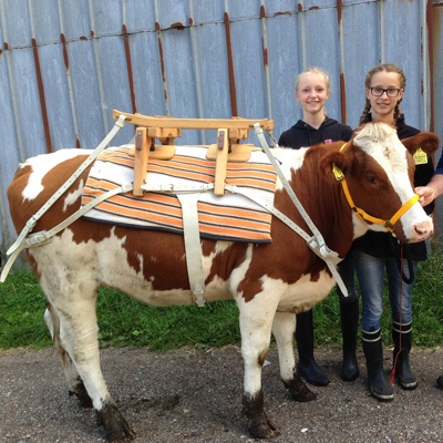 La vache et le Balissandre