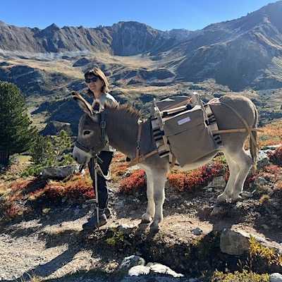 Lire la suite à propos de l’article Le Bastillon sur les cols de l’Helvétie