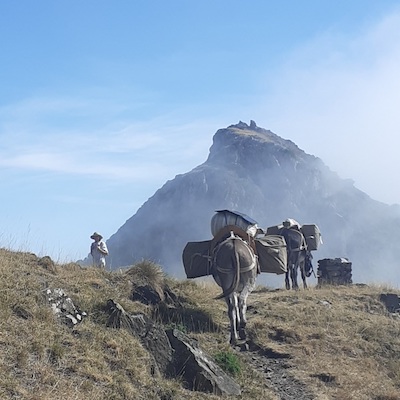 Lire la suite à propos de l’article Les Pyrénées magiques, et le petit âne portant fièrement son Bastillon