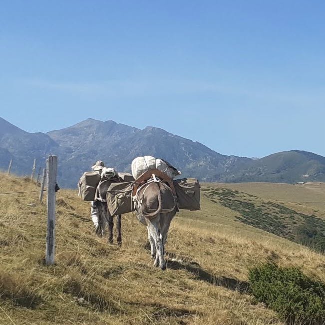 Randonnée Pyrénées avec un Bastillon