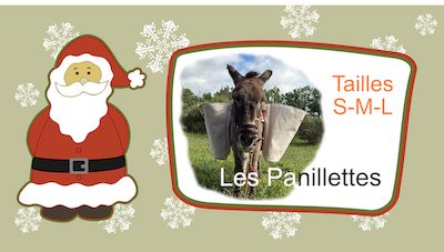 Lire la suite à propos de l’article Les Panillettes du Père Noël
